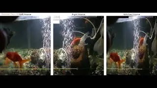 Video Stitching | Panorama | opencv-python