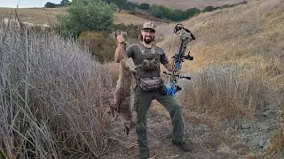 Coyote Crush