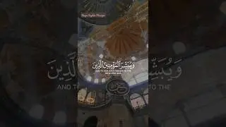Quran Recitation #shorts #islamic_video #islam