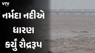 Bharuch Rain: નર્મદા નદીએ ધારણ કર્યું રૌદ્રરૂપ, ગોલ્ડન બ્રિજ ખાતે 27 ફૂટ પર વહી રહી છે નદી
