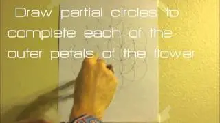Sacred Geometry: how to draw a flower of life