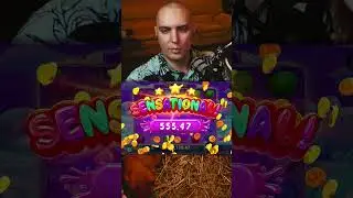 ТОП ЗАНОСЫ НЕДЕЛИ 5 #slot #casino #заносы #заносынедели #bigwin #win #казино