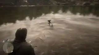 Red Dead Redemption 2 bain avec une biche