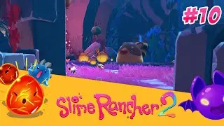 ЕЩЕ ЧЕТЫРЕ ГОРДО ► Slime Rancher 2 #10