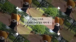 [청원] 고미니 리포트 - 스트레스 해소 실천 영역 편