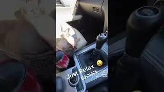 Benny Relax