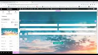 Section background is not changing in Elementor plugin of WordPress|Quick Fix