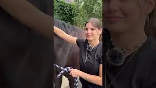Юлия Тарасенко и Люцифер Джей. Интервью перед розыгрышем приза Гибрида на Раменском ипподроме