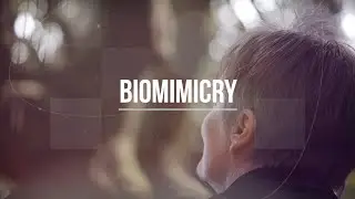 Biomimicry