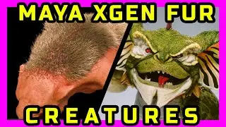 Creatures Fur - Xgen and Arnold 3D - Tutorial for Beginners - www.digital-characters.com