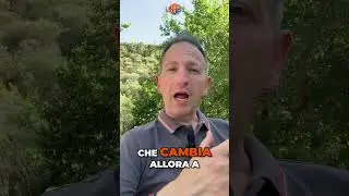 Come ottenere il successo senza chiedere favori: Guida pratica