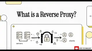 The Reverse Proxy