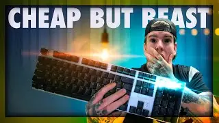 The ONLY Gaming Keyboard You Need for $40 | Philips SPK8614 Review