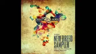 Stolen Love (Original Mix) - Audio Units