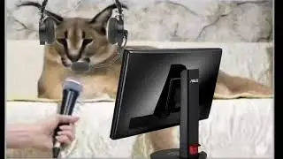Шлёпа бомбит