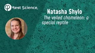 The veiled chameleon: a special reptile - with Dr. Natasha Shylo