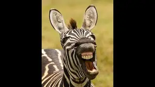 умный домофон и пьяный мужик :D