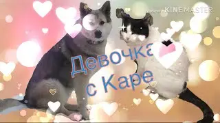 Собака Дина и Кот Мурзик|| клип «девочка с каре»