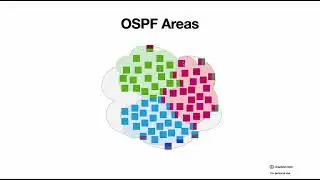 Basic features of OSPF