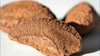 Brazil Nuts - Create Yourself Designer Frequency, Packed with Vitamins and Minerals