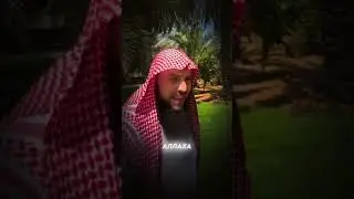 Сезон фиников в Саудии