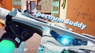 Valorant Funfact - Spectrum Buddy