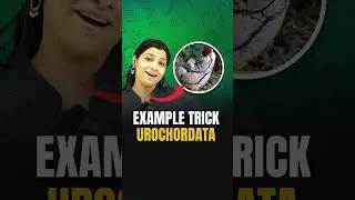 Urochordata Example Trick | NEET 2024 Biology 