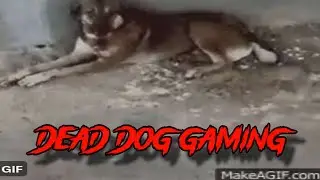 ShovelDog.Gif