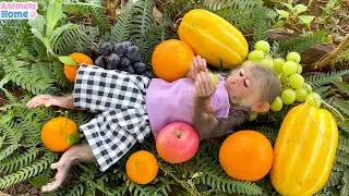 Farmer BiBi harvest fruit at the farm