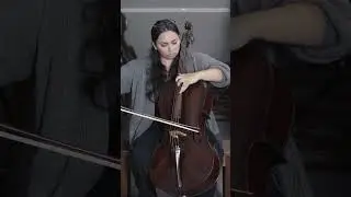 German Cello 7/8  #cello #cellist