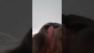 23 октября 2023 г.