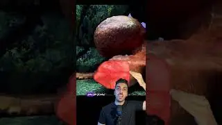 لو لقيت الشئ ده اوعي تسيبه يلزق علي دراعك ☠️