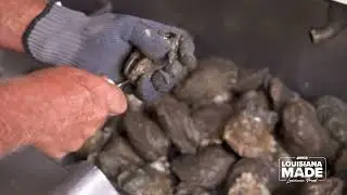 Louisiana Oyster Taskforce