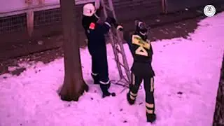 🔥Будни добровольцев🔥