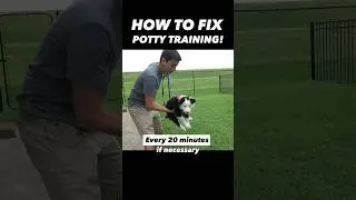 How to Fix Potty Training in 15 Seconds! 🤯 It’s That Easy!! 