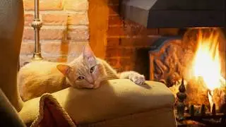 Камины на картинах художников. (Часть 2).