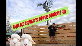 Fun day at Cover's Apple Ranch: hanging out with the animals on the ranch!