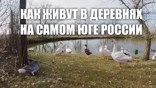 Купили ДОМ В ДЕРЕВНЕ | Посетили интересную ФЕРМУ | Навели порядок 