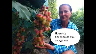 Эта НОВИНКА превзошла мои ожидания !!!