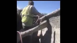 Когда в душе ты ещё ребёнок 
