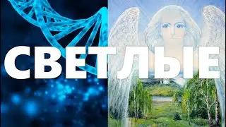 Вит отец Народов Света