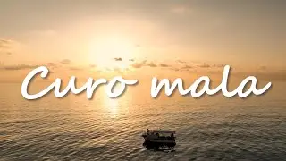 Tomislav Ivčić - Curo mala (Official lyric video)