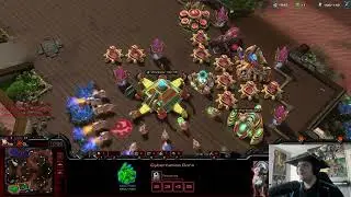 Protoss vs Zerg Just visiting