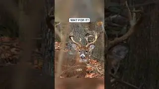 It's almost time...Share For Good Luck This Hunting Season! #deerhunting #hunting