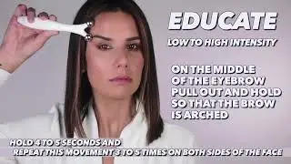 Educate Eye Brow Lift Movement