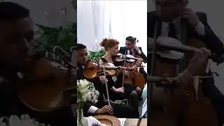 Dancing Queen (ABBA)