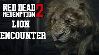 Lion Encounter Red Dead Redemption 2