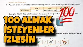 8.Sınıf Fen Bilimleri 2.Dönem 2.Yazılı