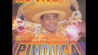 PINDUCA - MARCHA DO VESTIBULAR (AO VIVO)