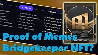Proof of Memes Bridgekeeper NFT and a Pinkchain Rug Pull?